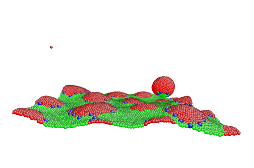 Three dimensional rendering of cell surface