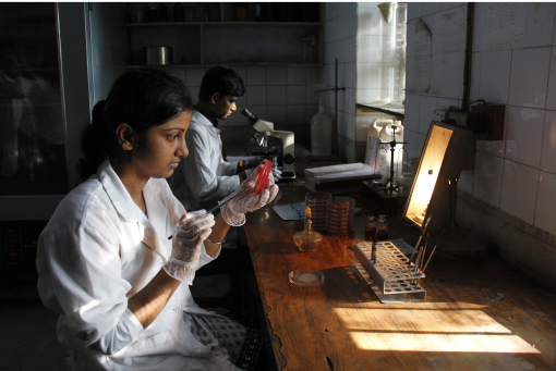 Pair of scientists working at a desk