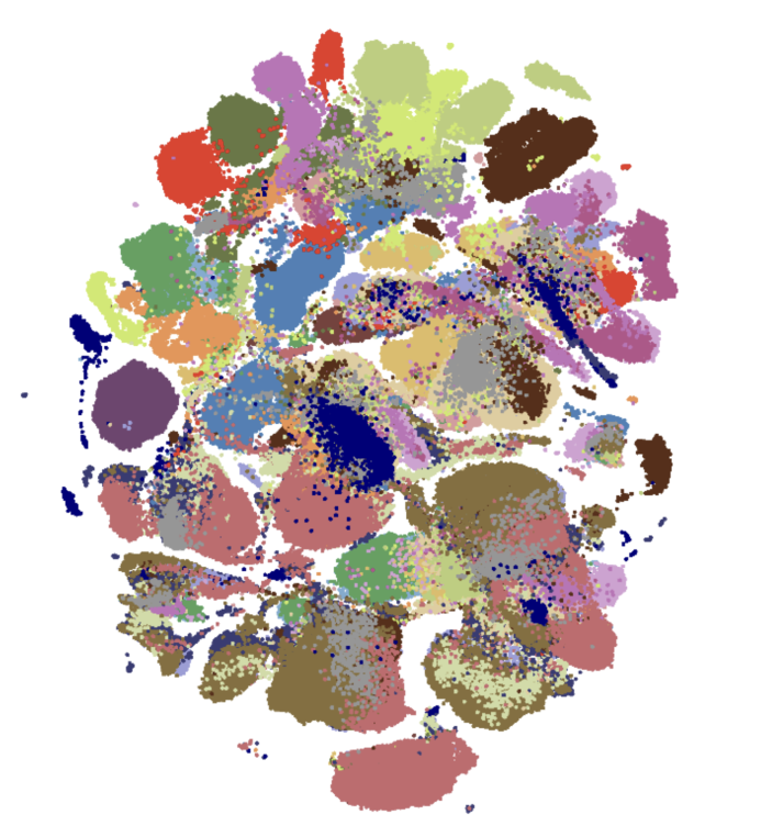 UMAP depicting human cell types in the Tabula Sapiens