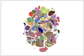 UMAP depicting human cell types in the Tabula Sapiens