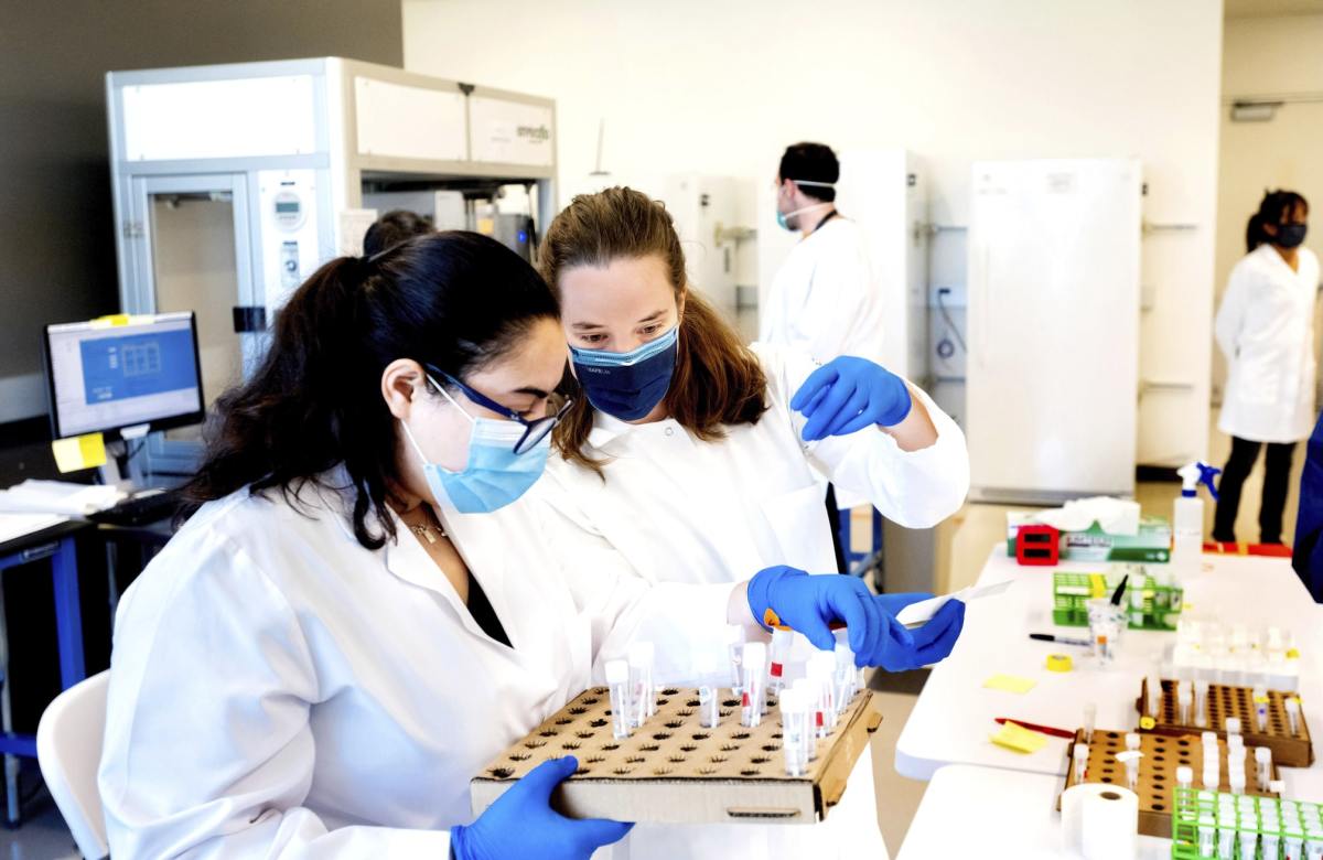 Two scientists wearing gloves and masks place small vials containing COVID-19 test samples into rows.