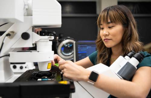 A scientist works with a microscope in a lab.
