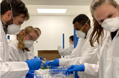 Scientists and grad students processing COVID tests