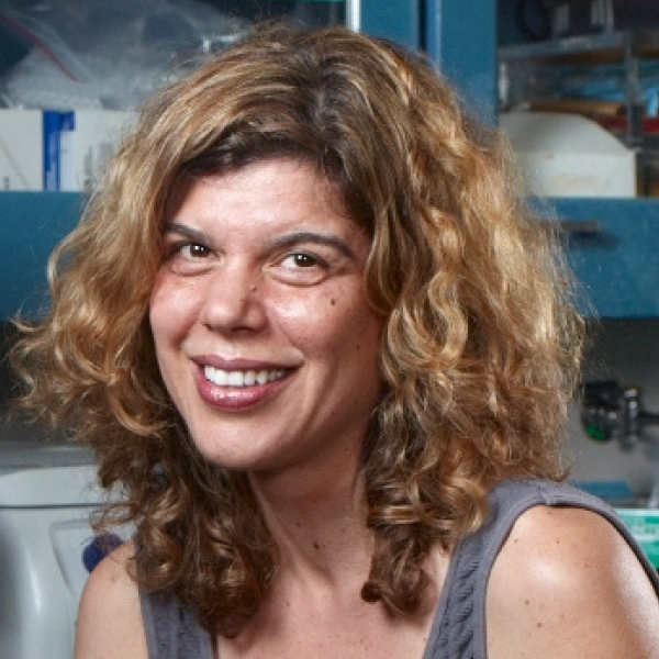 ANNE BRUNET, PH.D.