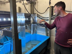 photo of tanks of water in a lab