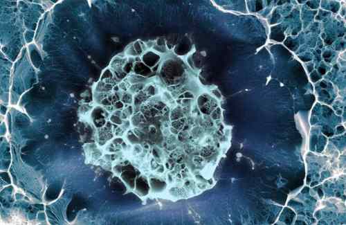 Image of a human stem cell featuring various colors of blue