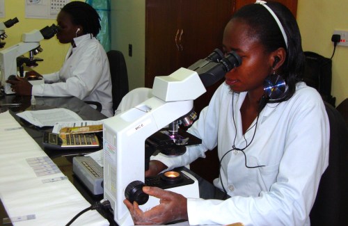 two women in white lab coats look into microscopes