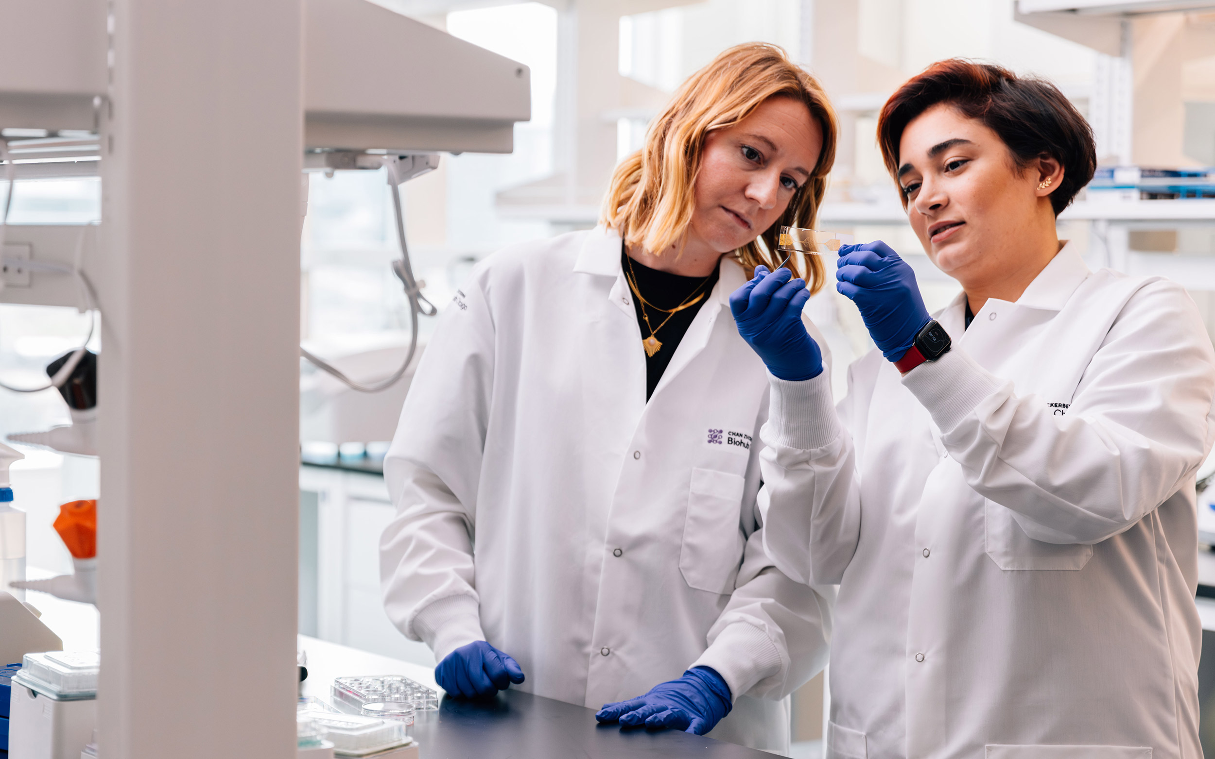 Two female researchers working in the CZ Biohub laboratory in Chicago