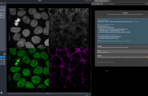 Omega napari plug-in that can speed up image analysis and eliminate the need to write code