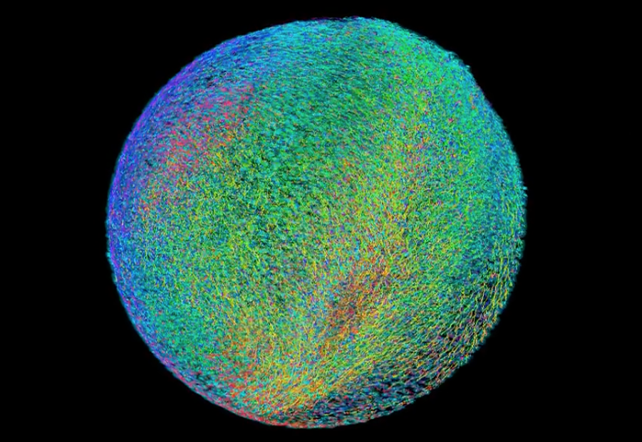 Physics of Life Symposium 2024 Background