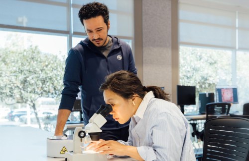 Priscilla Chan looks into a microscope while a colleague observes her in a well-lit laboratory at the CZ Imaging Institute.