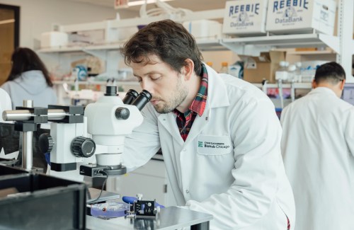 Csaba Forró in the lab at Chicago Biohub.