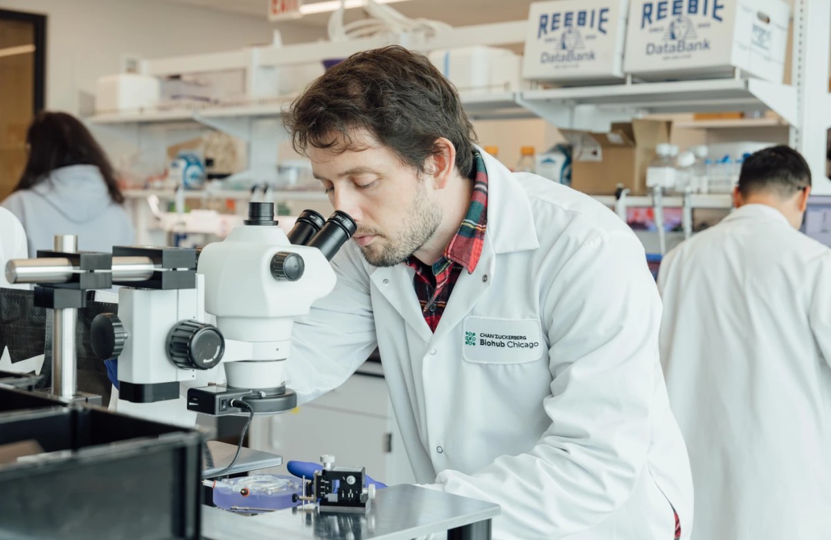 Csaba Forró in the lab at Chicago Biohub.
