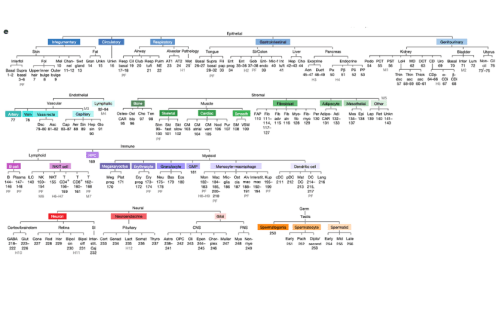 dendogram