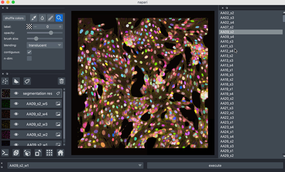 Visualization interface browses segmented cells infected with SARS-CoV-2 virus