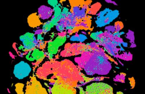 Colorful blogs on a black background.