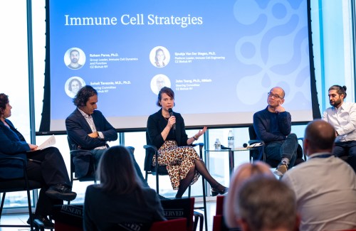 Experts from Biohub NY discuss immune cell strategies during a symposium panel, highlighting research on cell dynamics, engineering, and clinical applications